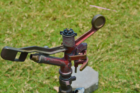 sprinkler head watering the flowers and grassの写真素材