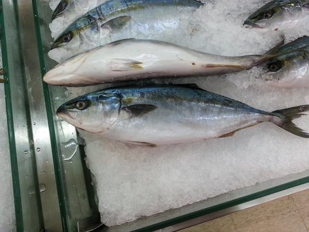 Fresh Fish on a Marketの写真素材