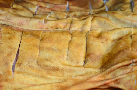 Suckling pig on a grillの写真素材