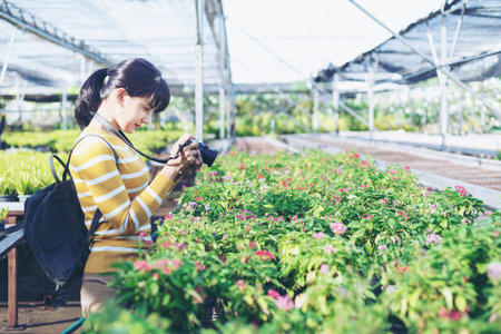 Beautiful woman in yellow and white shooting a photo of flowers in flowerpot between travel in vacation time.の写真素材