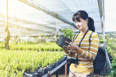 Beautiful woman in yellow and white sweater  holding and seeing flowerpot between travel in vacation time.の写真素材