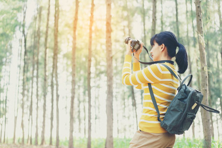 Young Woman in yellow sweater take a photo between travel in pine forest.の写真素材