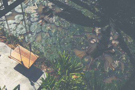 Little swing at lotus pond for rest in the day.の写真素材