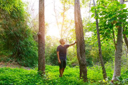 A man looking over a giant tree in the green forest nearby sunset time.
