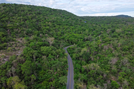 Bird eye view of local road in green mountainの写真素材