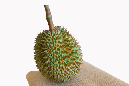 Ripe Thai durian fruit for export on isolated on white background with clipping path