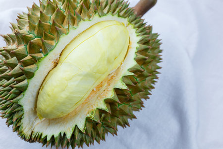 Ripe Thai durian fruit for export on white background.の写真素材