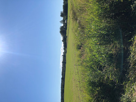 Aerial view of grassy meadow with blue sky in backgroundの写真素材
