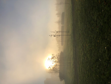 Sunrise over the river in the misty morning, closeup of photoの写真素材