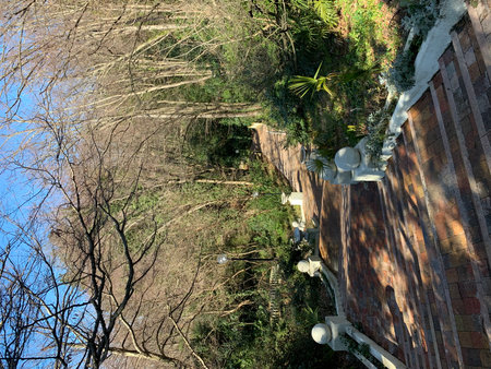 View of the top of the mountain from the height of the observation deckの写真素材