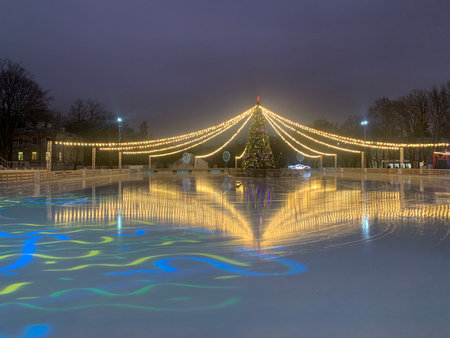 Beautiful Christmas tree on a frozen pond in the city park.の写真素材
