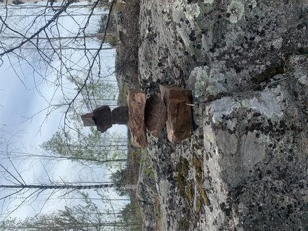 Wooden firewood on the edge of a cliff in the forestの写真素材