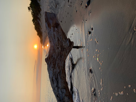 Beautiful sunset on the beach in Jeju Island, South Korea.の写真素材