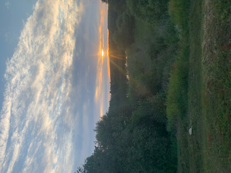 Sunset in the countryside of Emilia Romagna, Italy.の写真素材
