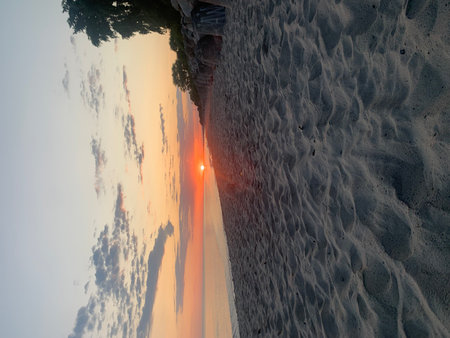 Beautiful sunset on the beach in the summer. Toned.の写真素材