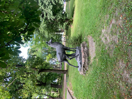 Sculpture of a horse in a parkの写真素材