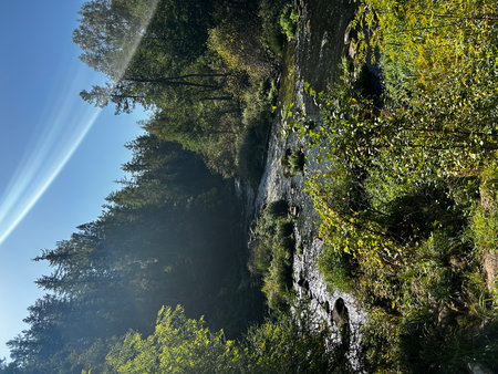 Beautiful view of the rocks in the forest with sunbeamsの写真素材