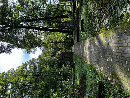 Building in the middle of the forest with green plantsの写真素材