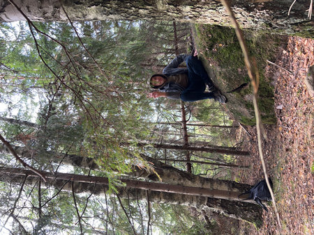 A young man climbs a tree in the woods. Climbingの写真素材