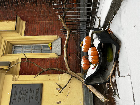 Pumpkin hanging on a tree in front of an old buildingの写真素材