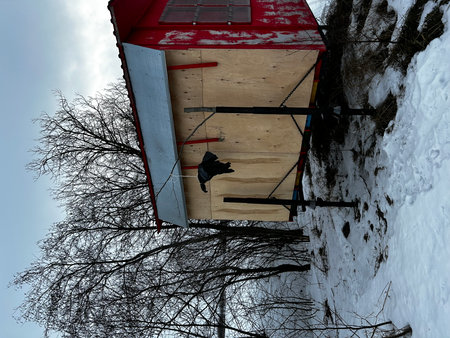A man sits on the roof of a wooden house in winter.の写真素材
