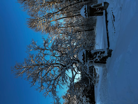 Winter landscape with snow covered trees and blue sky in the background.の写真素材
