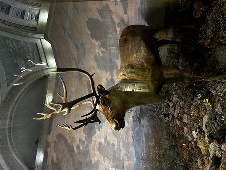 Museum, St. Petersburgの写真素材