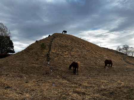 Horses grazing on the hill in the early spring with cloudy sky. Kislovodskの写真素材