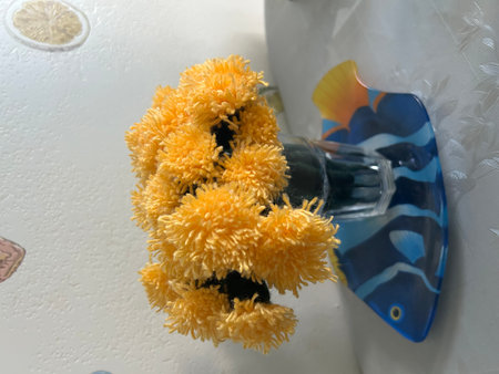 Close up view of a yellow flower in a pot.の写真素材