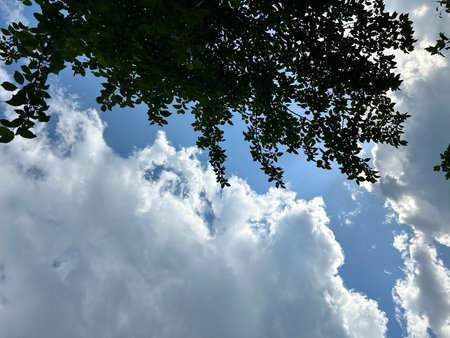 Clouds and blue sky with green leaves of trees in summer. St. Petersburg, Strelnaの写真素材