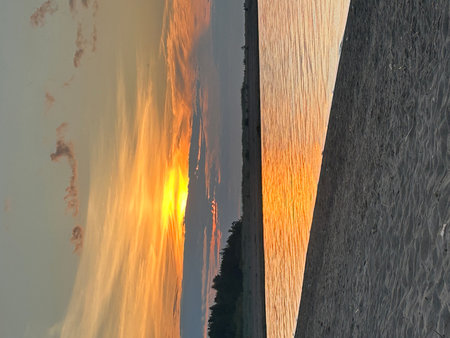 Sunset at the seaside in summer, closeup of photo. Saint Petersburg, Bolshaya Izhora, beach, sunsetの写真素材
