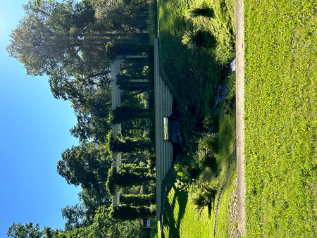 Aerial view of a park with green grass and blue sky.の写真素材