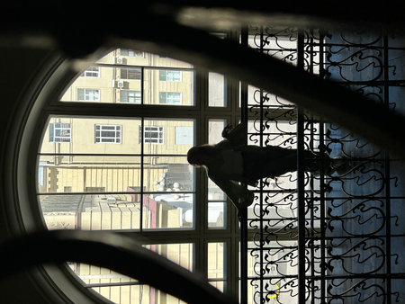 Woman in the window of a building in Russia.の写真素材