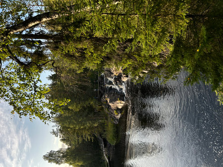 Waterfall in the forest, reflection of trees in the water. Karelia, Valley of Waterfalls, Ruskealaの写真素材