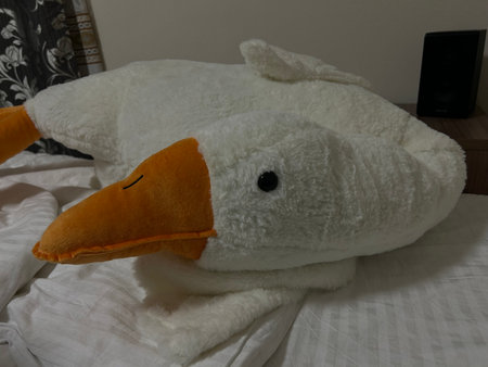 Cute plush duck lying on the bed in the bedroom. The concept of a happy holiday. Goose-hug, goose, toyの写真素材