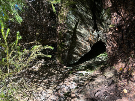 Canyon in the middle of the forest with trees and rocks. Ladoga, Ladoga skerries, islandの写真素材