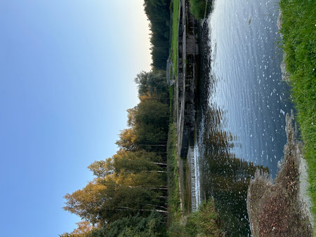 Reflection of trees in the water of a canal in autumn. Saint Petersburg, Pavlovskの写真素材