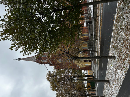 A low angle shot of a building under construction with a tree in the foregroundの写真素材