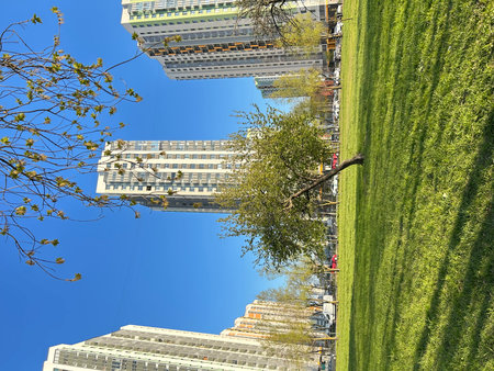 Canary Wharf business districtの写真素材