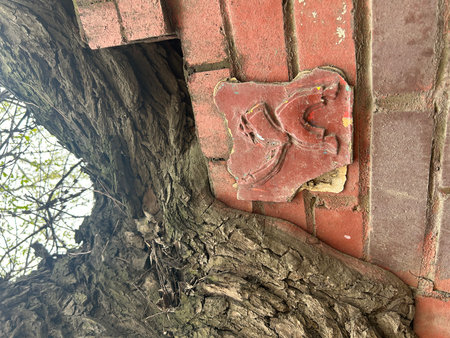Old red brick wall with a hole in it and an old treeの写真素材