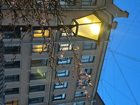 Street lamp on a building in Budapest, Hungary.の写真素材
