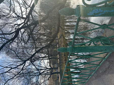 Reflection of trees in the water, Moscow, Russia, winterの写真素材