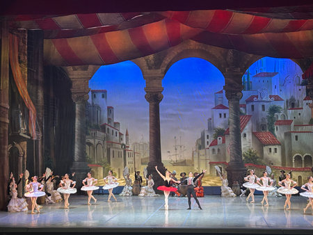 Swan Lake ballet performed by members of the Danyan Opera and Ballet Theatre. January 23, 2011 in Chengdu, China.の写真素材