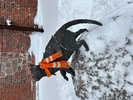 A black dog with orange scarf sits on a snow-covered street.の写真素材