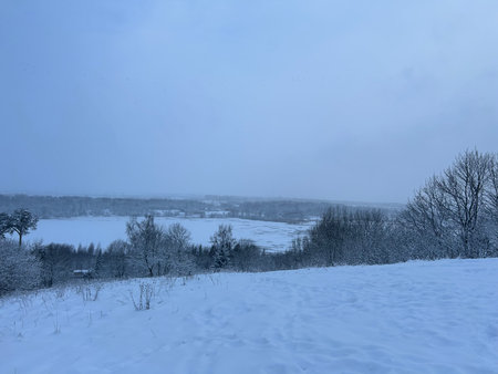 Winter landscape with snow covered trees and meadows in the background.の写真素材