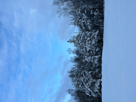 Snowy winter forest with blue sky and white clouds in the backgroundの写真素材