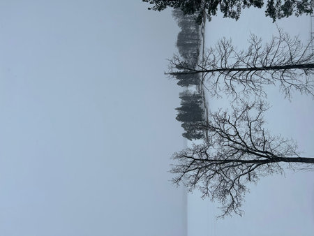Winter landscape with frozen lake and trees on a foggy day.の写真素材