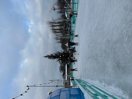 People standing on an ice rink with a small Christmas tree in the middleの写真素材