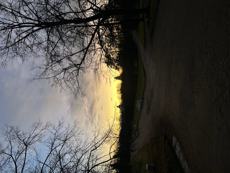 sunset in the city, can be used as a background.の写真素材