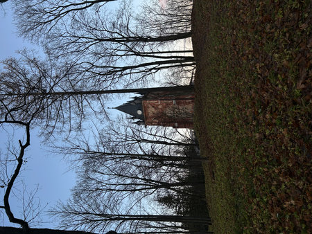 Old wooden house and bare trees in the park. Early spring.の写真素材